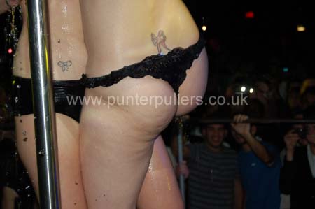 amadeus wet pole 29-1-08 (121)