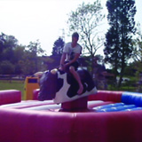 bucking bronco